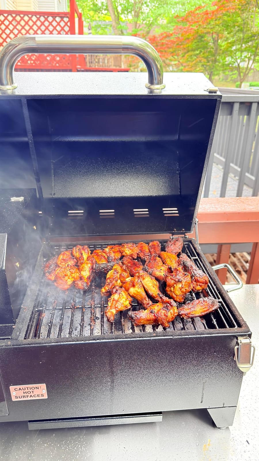 Freedom Stoves Portable Pellet Grill, 12V and 120V Dual Power | Runs on 12V or 120V power, 8.5 lb hopper capacity with dual meat probes, Ideal for camping and backyard cooking customer photo 1