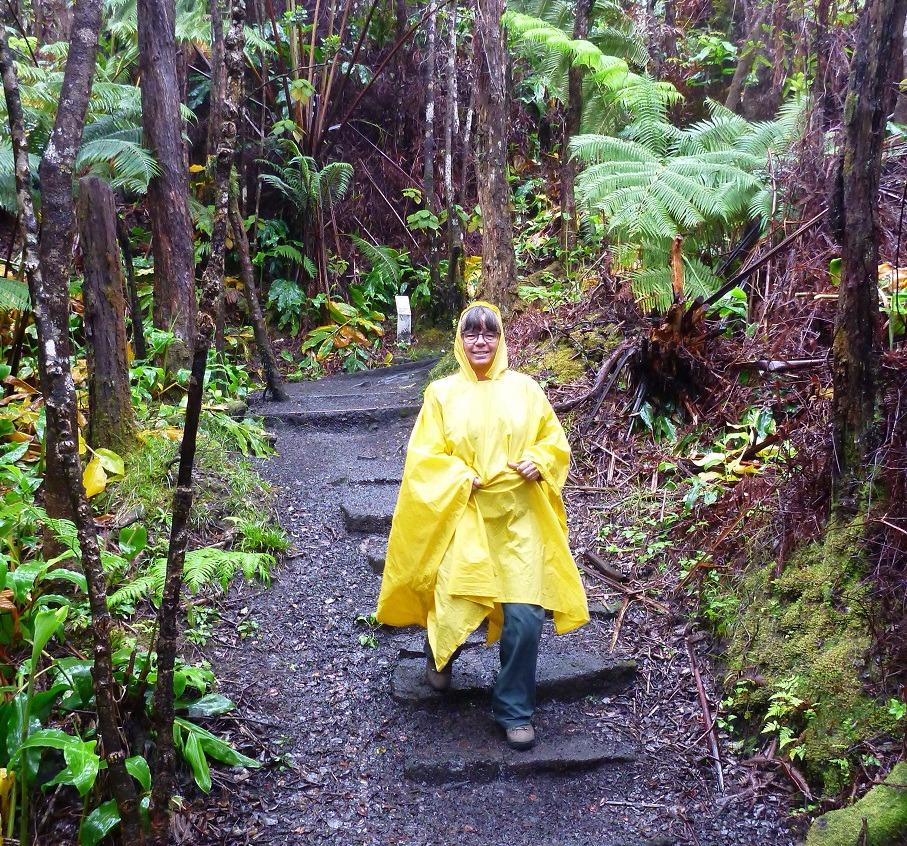 Lowa Women's Renegade GTX Mid Hiking Boot customer photo 1