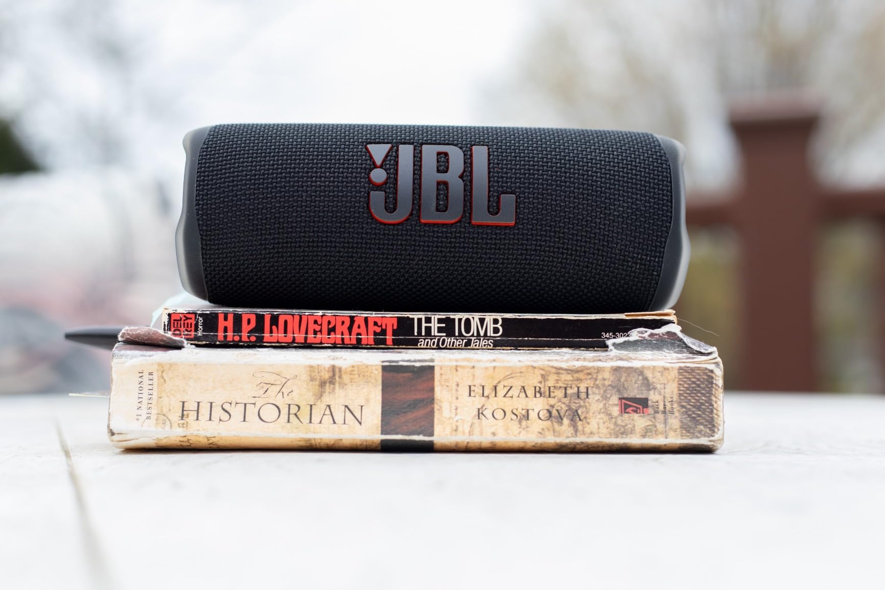 JBL Flip 6 - Portable Waterproof Speaker - Blue, Louder more powerful sound, IP67 waterproof and dustproof, 12 Hours of Playtime, Bold design customer photo 2