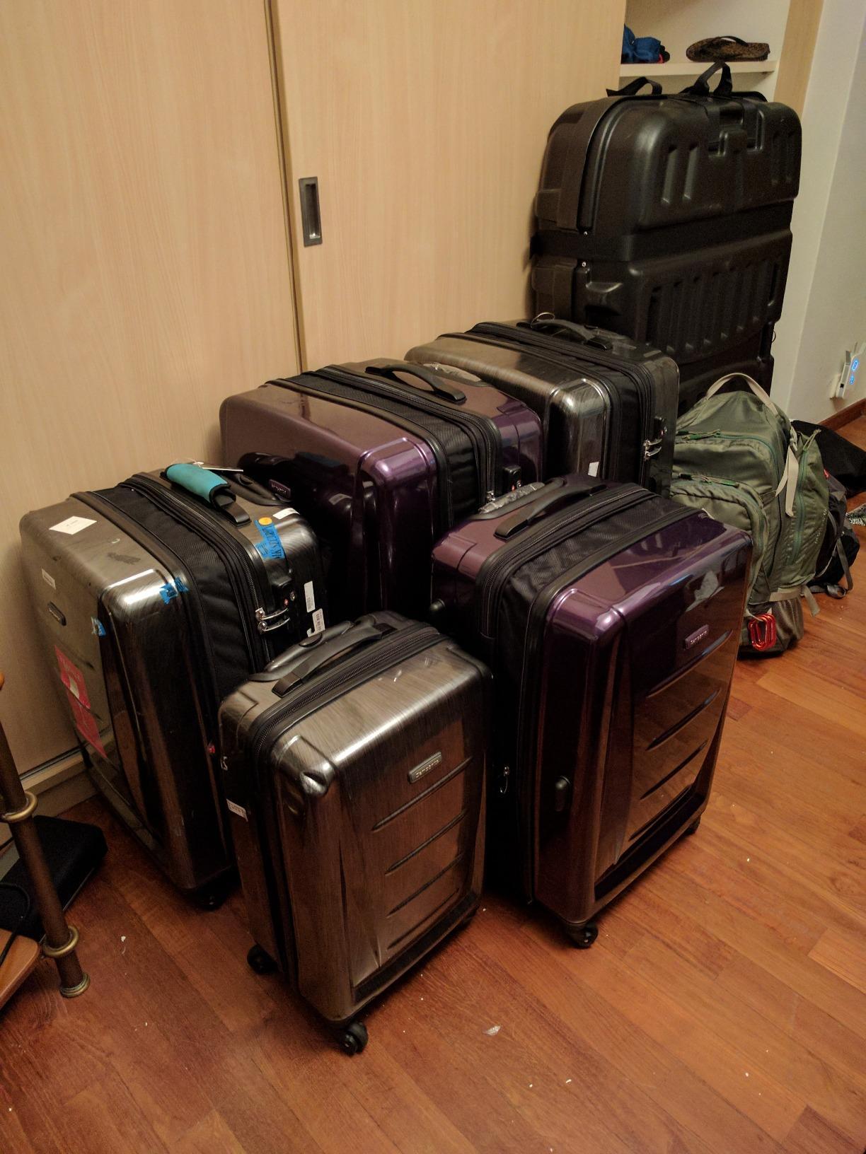Samsonite Winfield 2 Hardside Luggage with Spinner Wheels, 3-Piece Set (20/24/28), Cactus Green customer photo 2