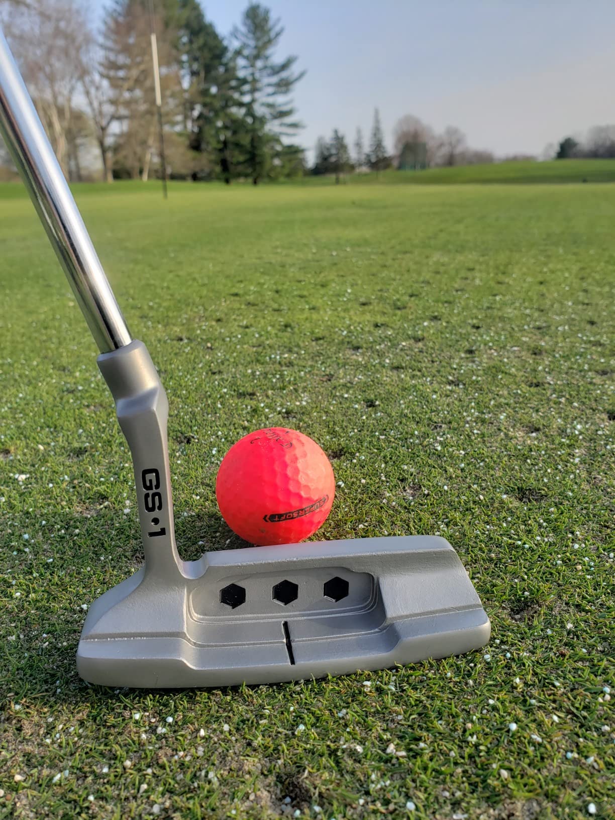 GoSports GS1 Tour Golf Putter – Choose Oversized Grip or Traditional Grip - 34” Right-Handed Blade Putter with Milled Face customer photo 1