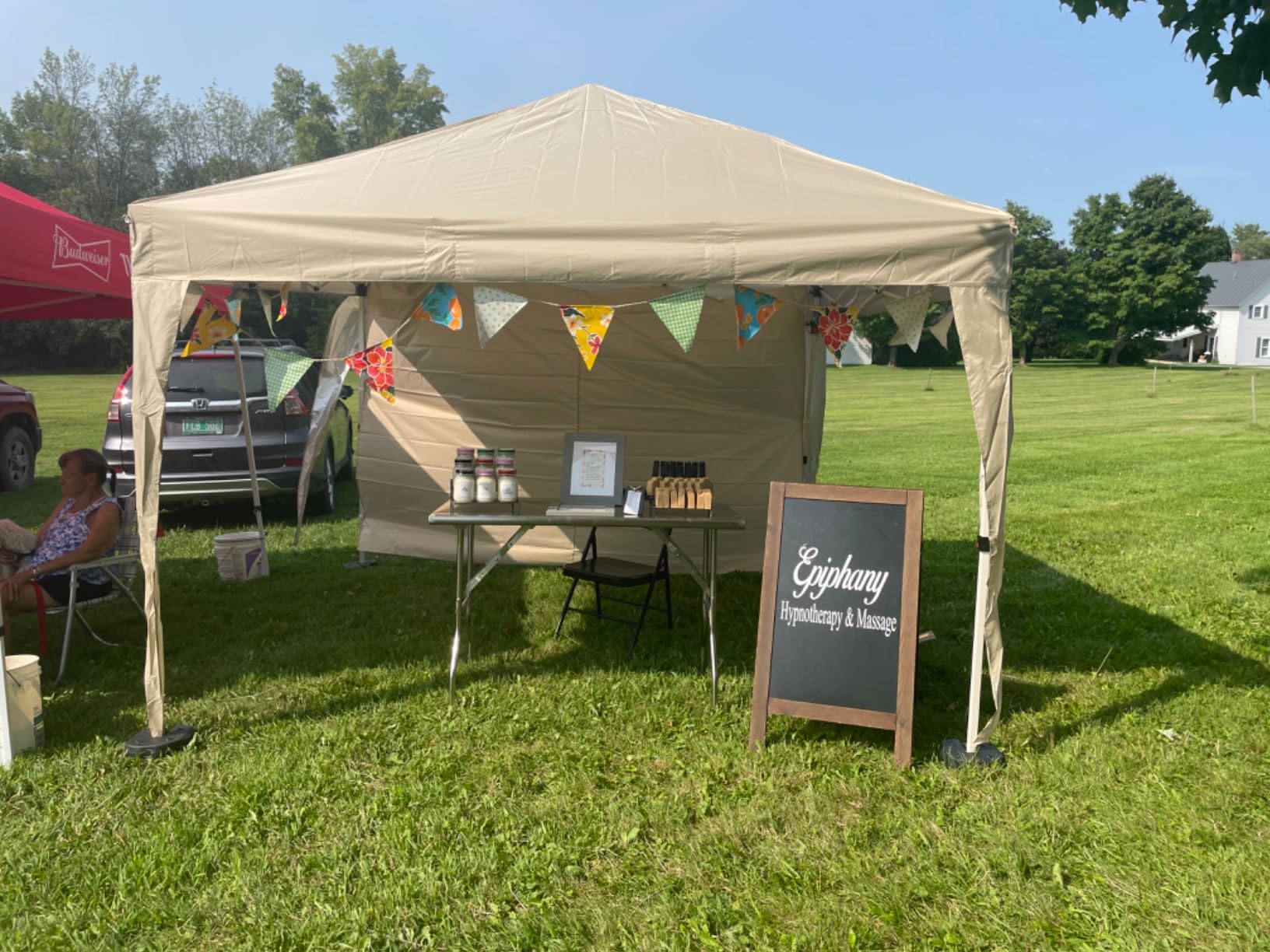 Yaheetech 10x10 Pop Up Canopy Tent with 4 Removable Sidewalls, Blue customer photo 2