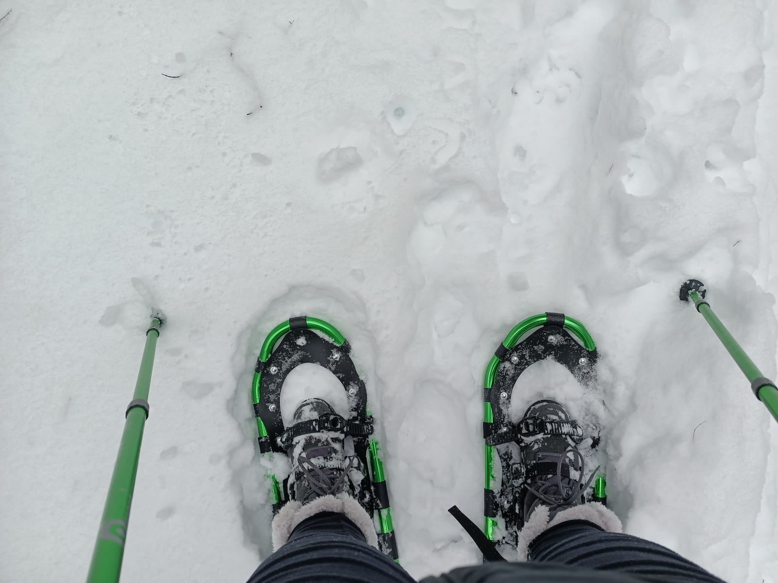 Odoland 21/25/30 Inch Snowshoes with Trekking Poles for Men Women Youth, Waterproof Snow Leg Gaiters and Carrying Bag, Lightweight Aluminum, Heel Lift, Snow Shoes Easy to Wear customer photo 2