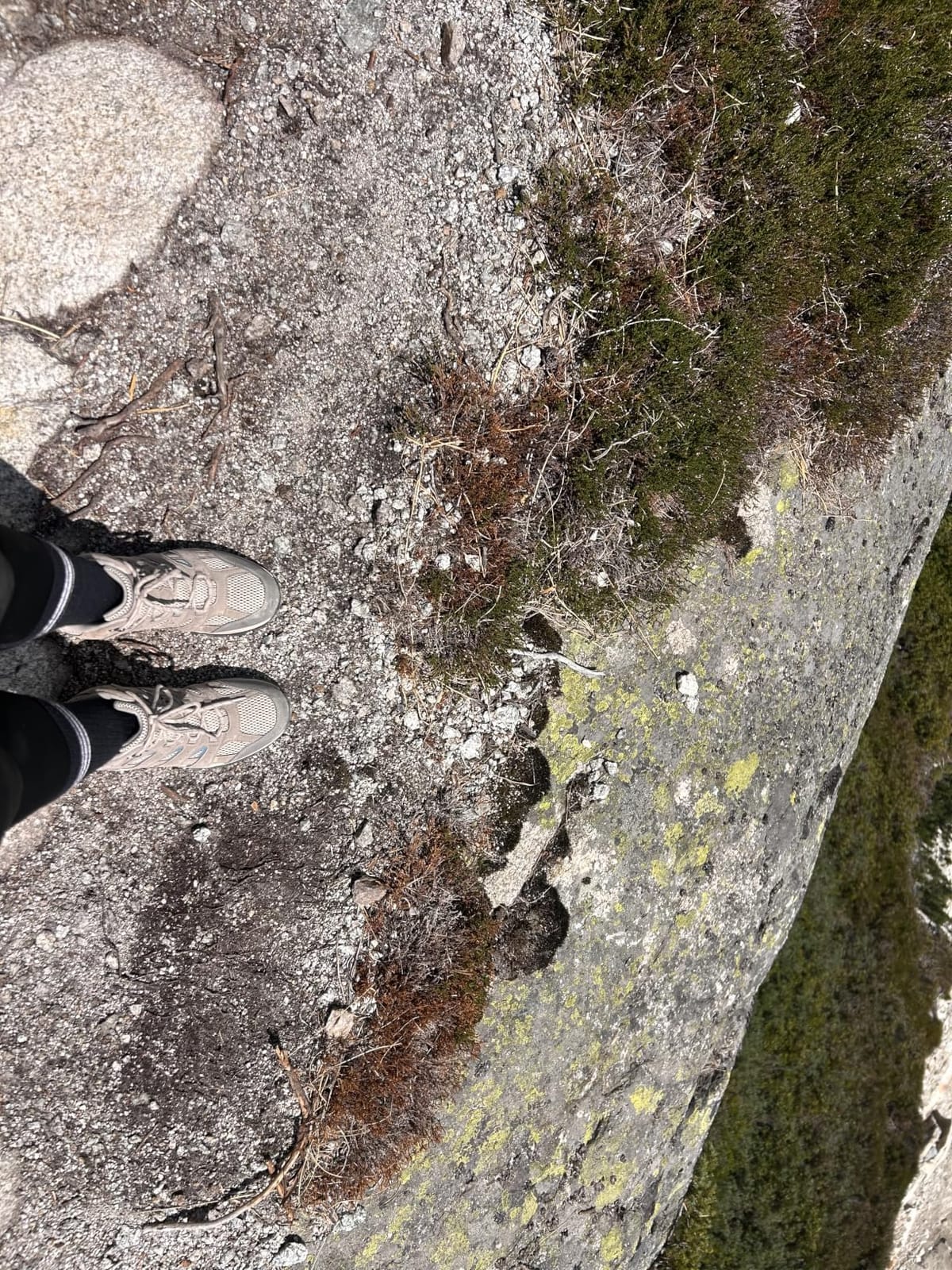NORTIV 8 Women's Lightweight Ankle Hiking Boots Backpacking customer photo 2