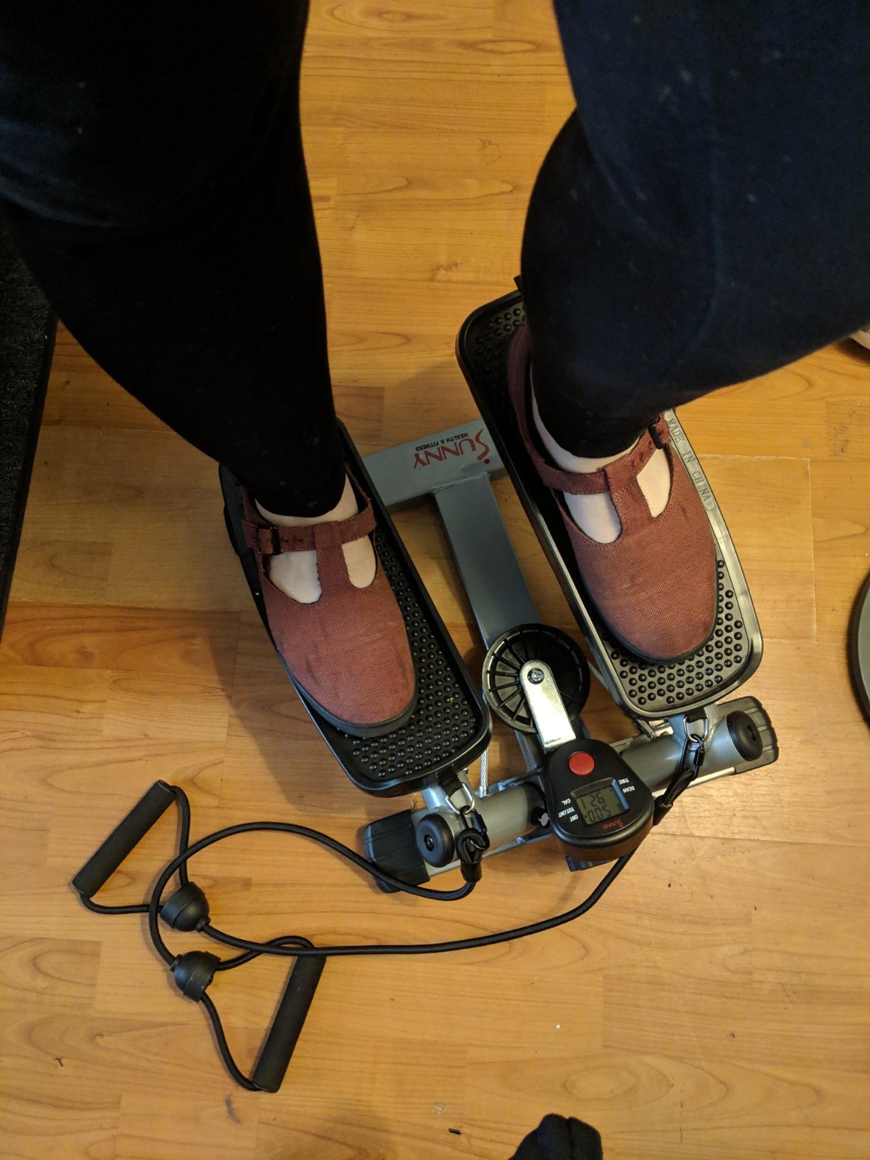 Sunny Health & Fitness Smart Power Stepper with Resistance Bands for Cardio customer photo 2