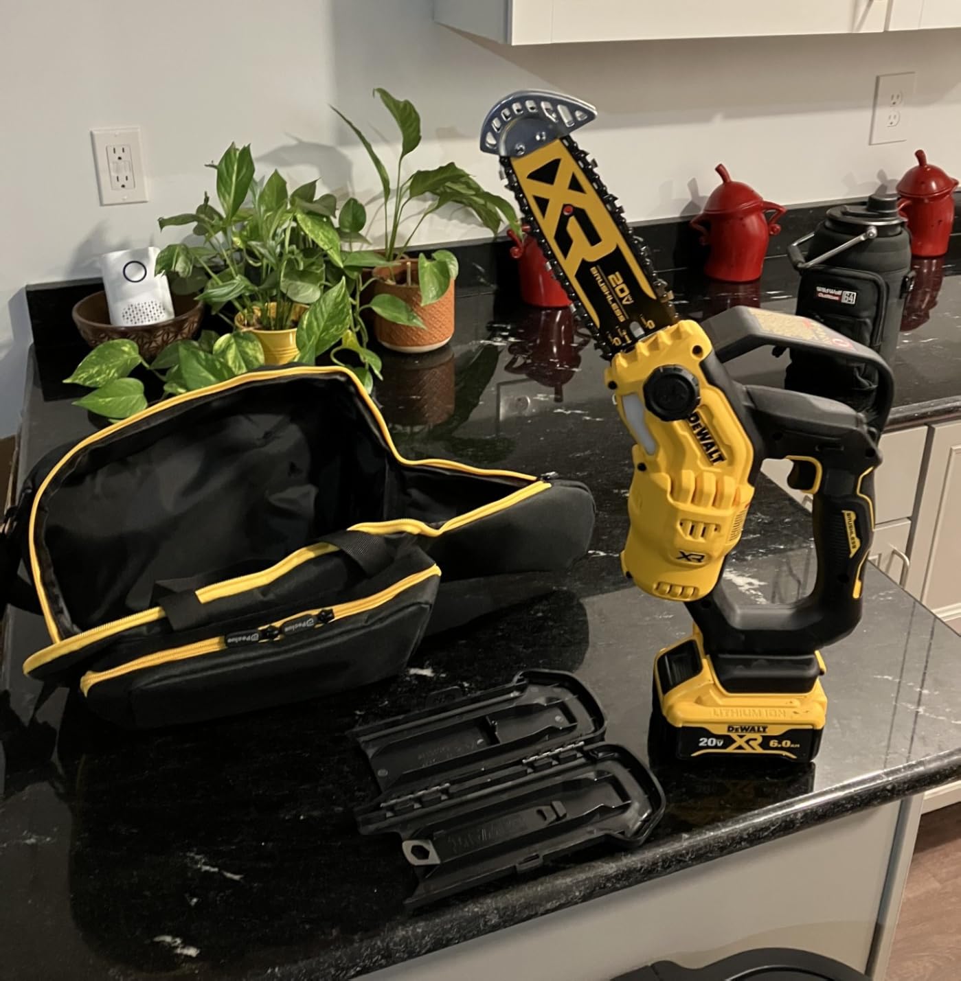 Dewalt Chainsaw Pruning CRDLS 20V 8IN DCCS623B customer photo 2