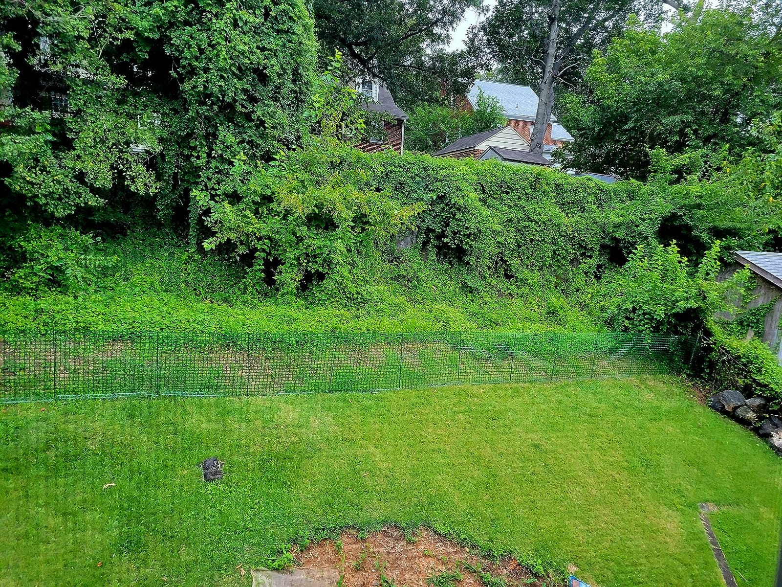 PotatoLife 4'x100' Plastic Mesh Fence for Garden with 100 Zip Ties, Green customer photo 2