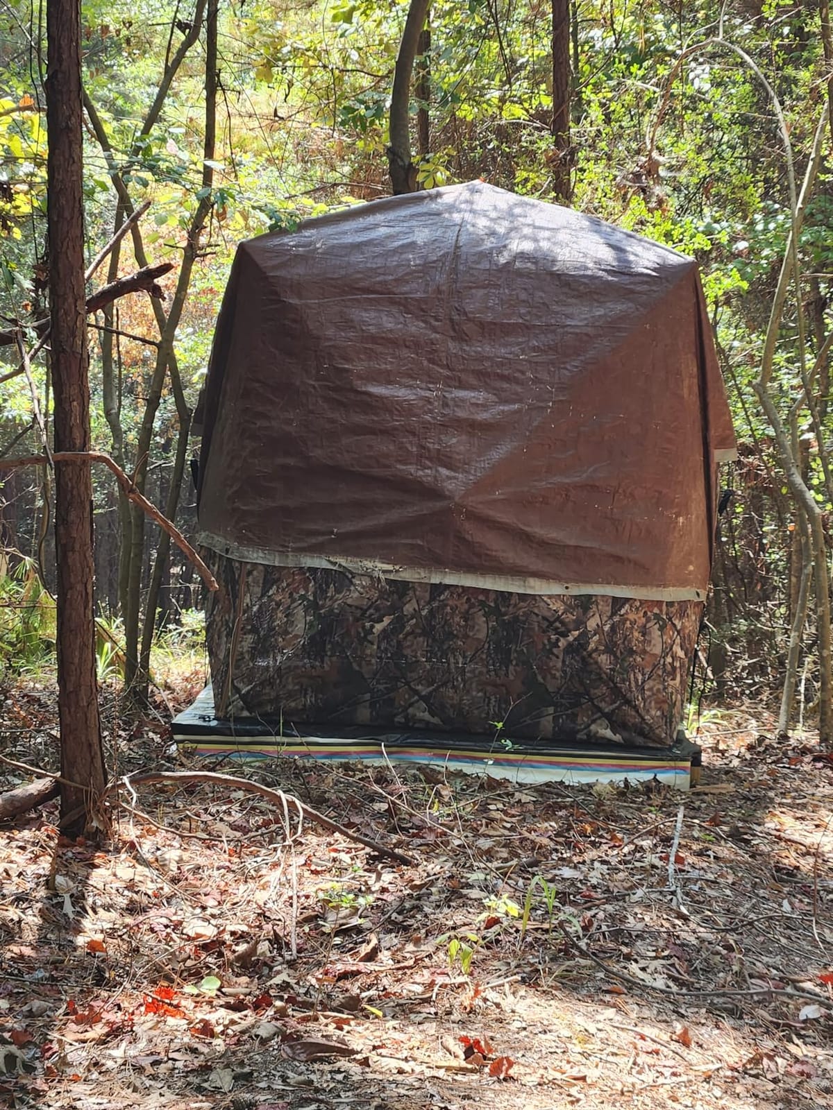 Lenotos Hunting Blind, 2 Person Pop Up Blinds 360 Degree See Through, Portable Durable Hunting Ground Blinds for Deer & Turkey Hunting customer photo 1