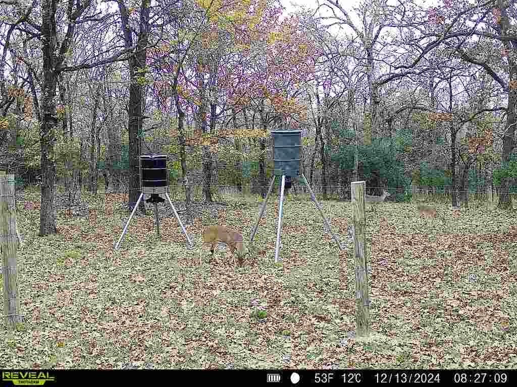 Tactacam Reveal X-Pro Camera customer photo 1