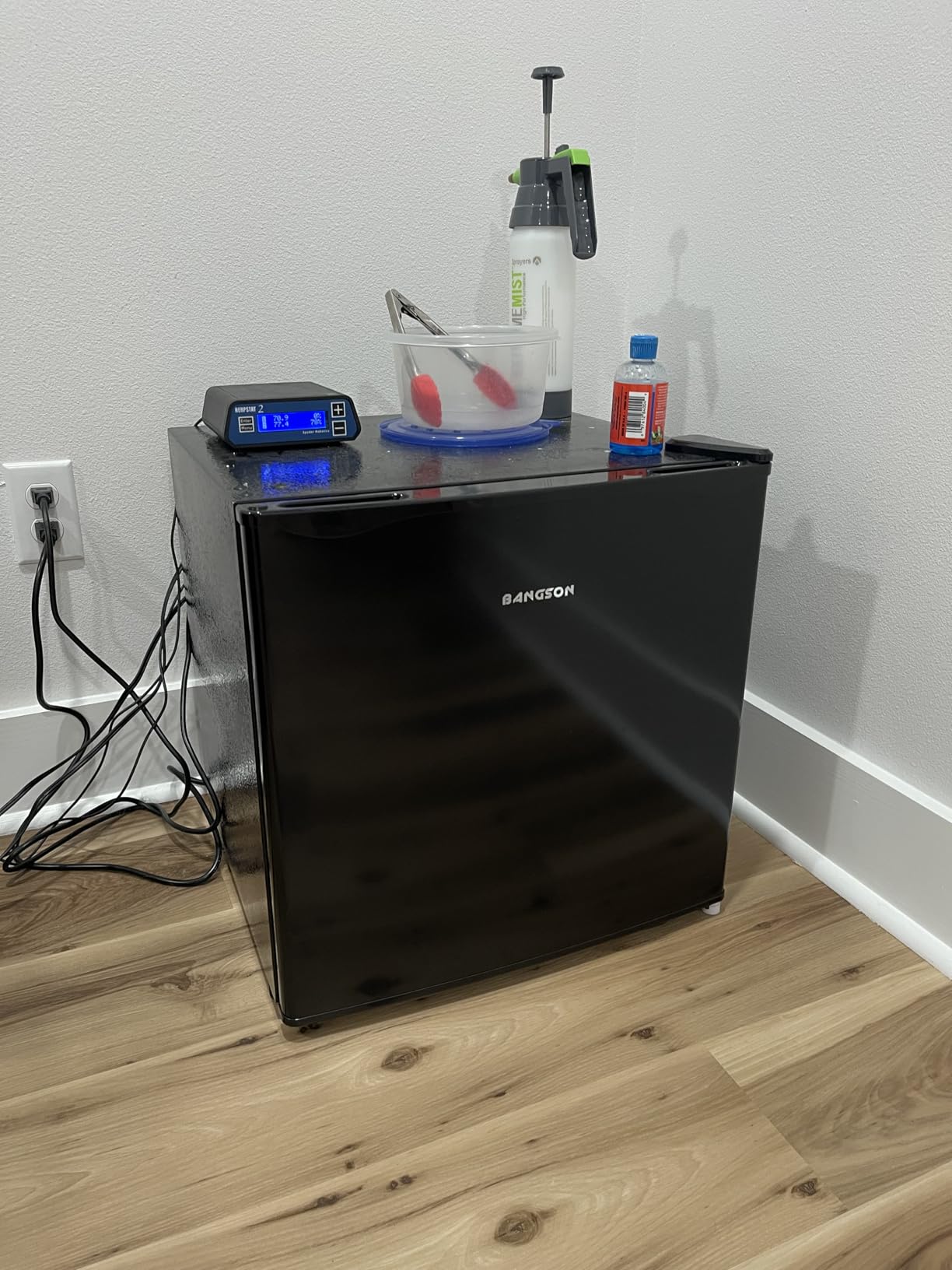 BANGSON 1.1 Cu.ft Upright Mini Freezer for Dorm Bedroom Black customer photo 1