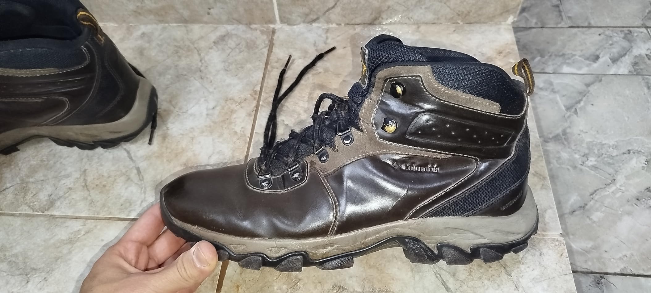 Columbia Men's Newton Ridge Plus Ii Waterproof Hiking Shoe customer photo 1