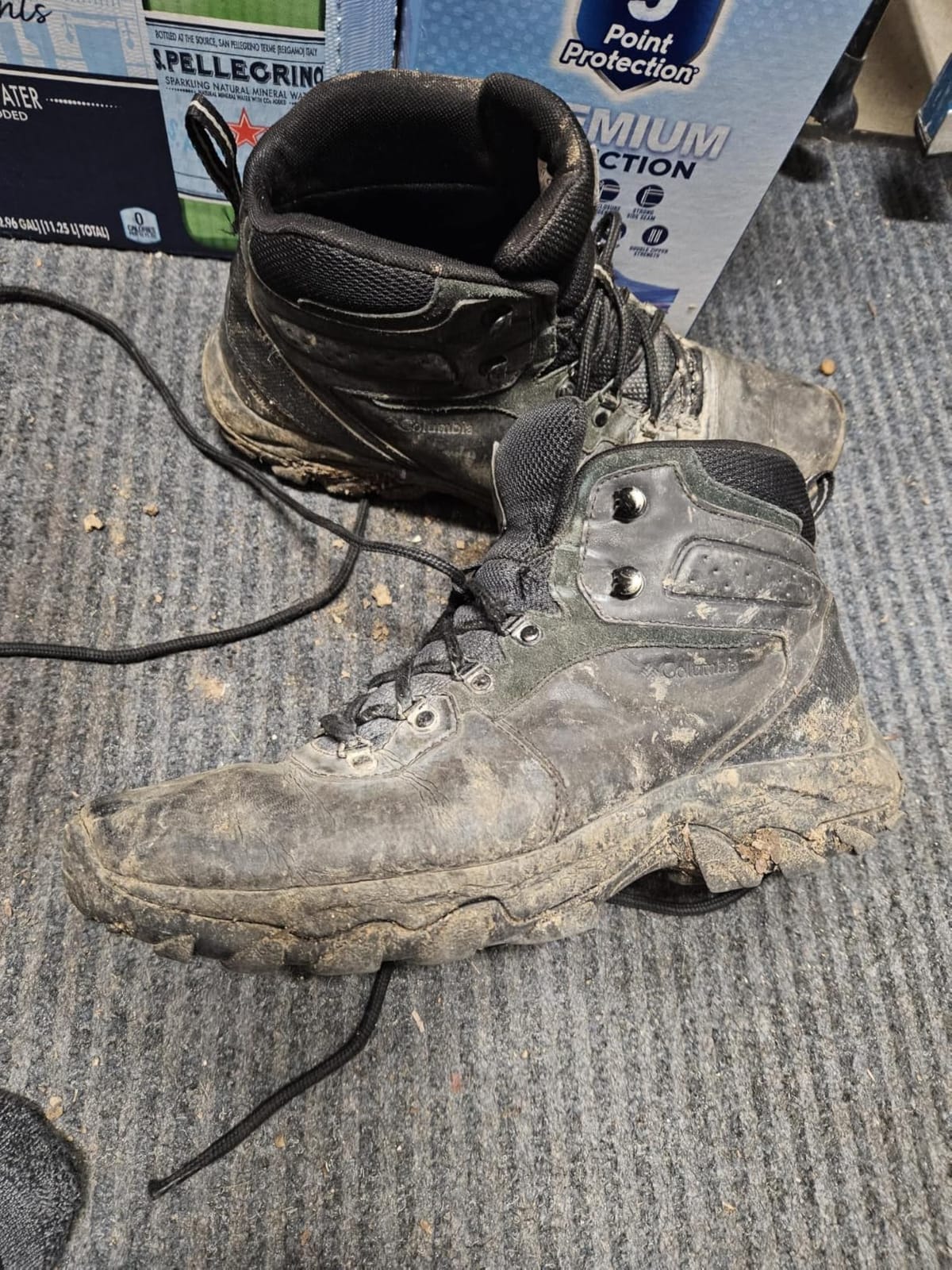 Columbia Men's Newton Ridge Plus Ii Waterproof Hiking Shoe customer photo 2