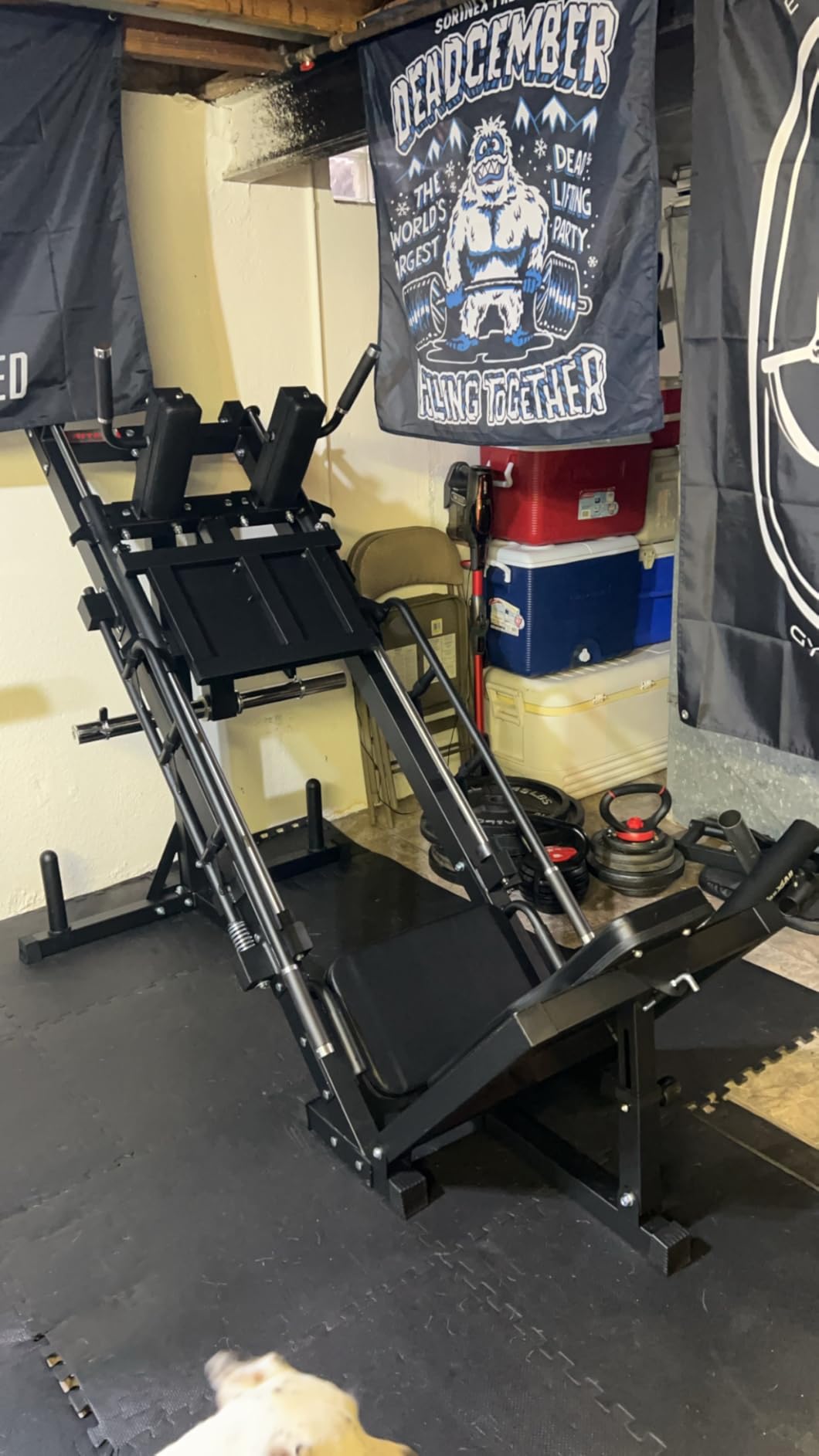 RitFit Leg Press Hack Squat Machine with Linear Bearing, 1200LB Capacity customer photo 2