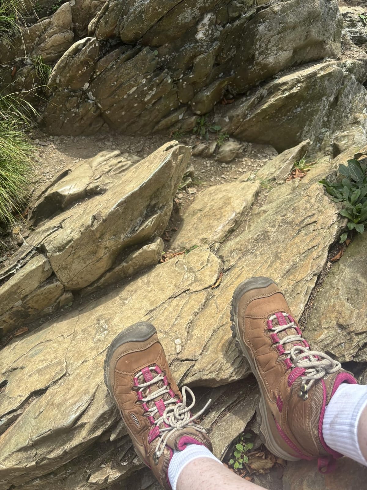 KEEN Women's Targhee 4 Mid Height Durable Comfortable Waterproof Hiking Boots customer photo 2