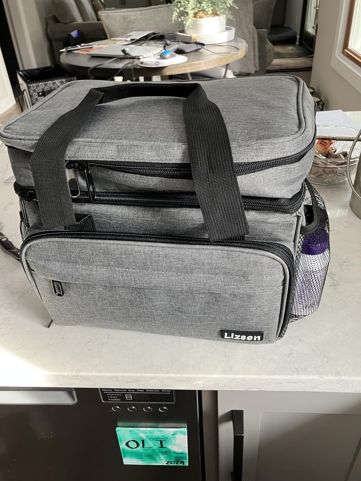 Large Medicine Storage Bag, Double Layer Pill Bottle Organizer Storage Bag with Lockable Zipper, Medication Travel Bag Carrying Case for Men Women | Dual Layer Capacity, Insulated Medicine Pocket, Medical Supplies for Home Storage, Medication Travel Case customer photo 2