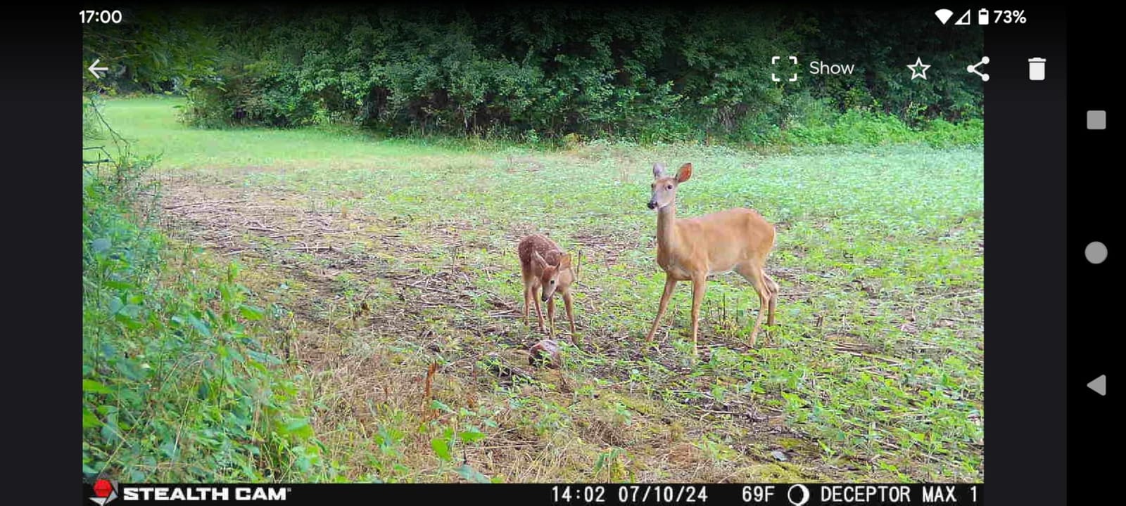 Stealth Cam Deceptor MAX 40MP 1440P QHD No-Glo LED Cellular Trail Camera | 40MP Photos, 1440p QHD Video with Audio, 940nm No-Glo Ir, ~0.3 Second Trigger customer photo 1