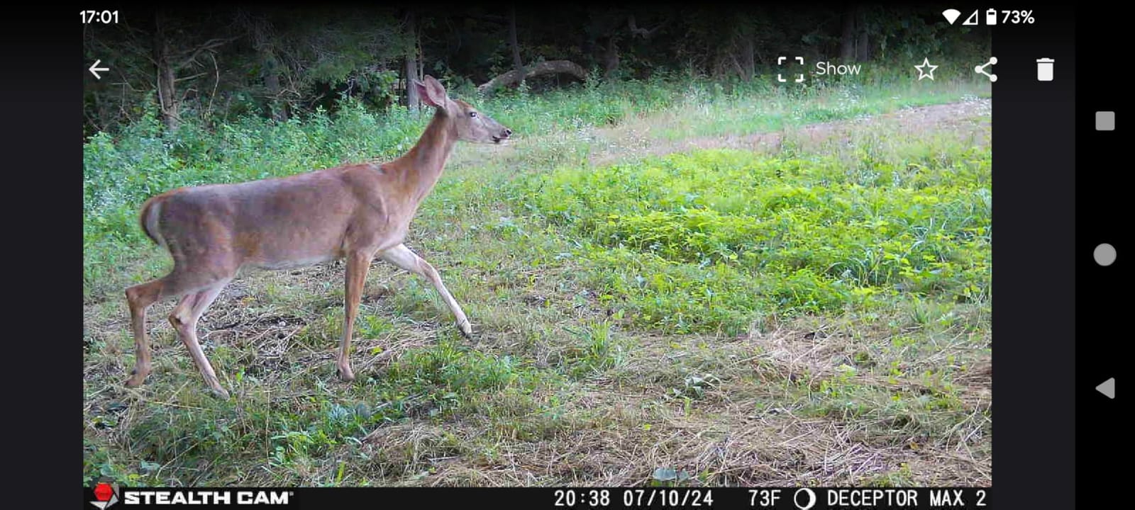 Stealth Cam Deceptor MAX 40MP 1440P QHD No-Glo LED Cellular Trail Camera | 40MP Photos, 1440p QHD Video with Audio, 940nm No-Glo Ir, ~0.3 Second Trigger customer photo 2