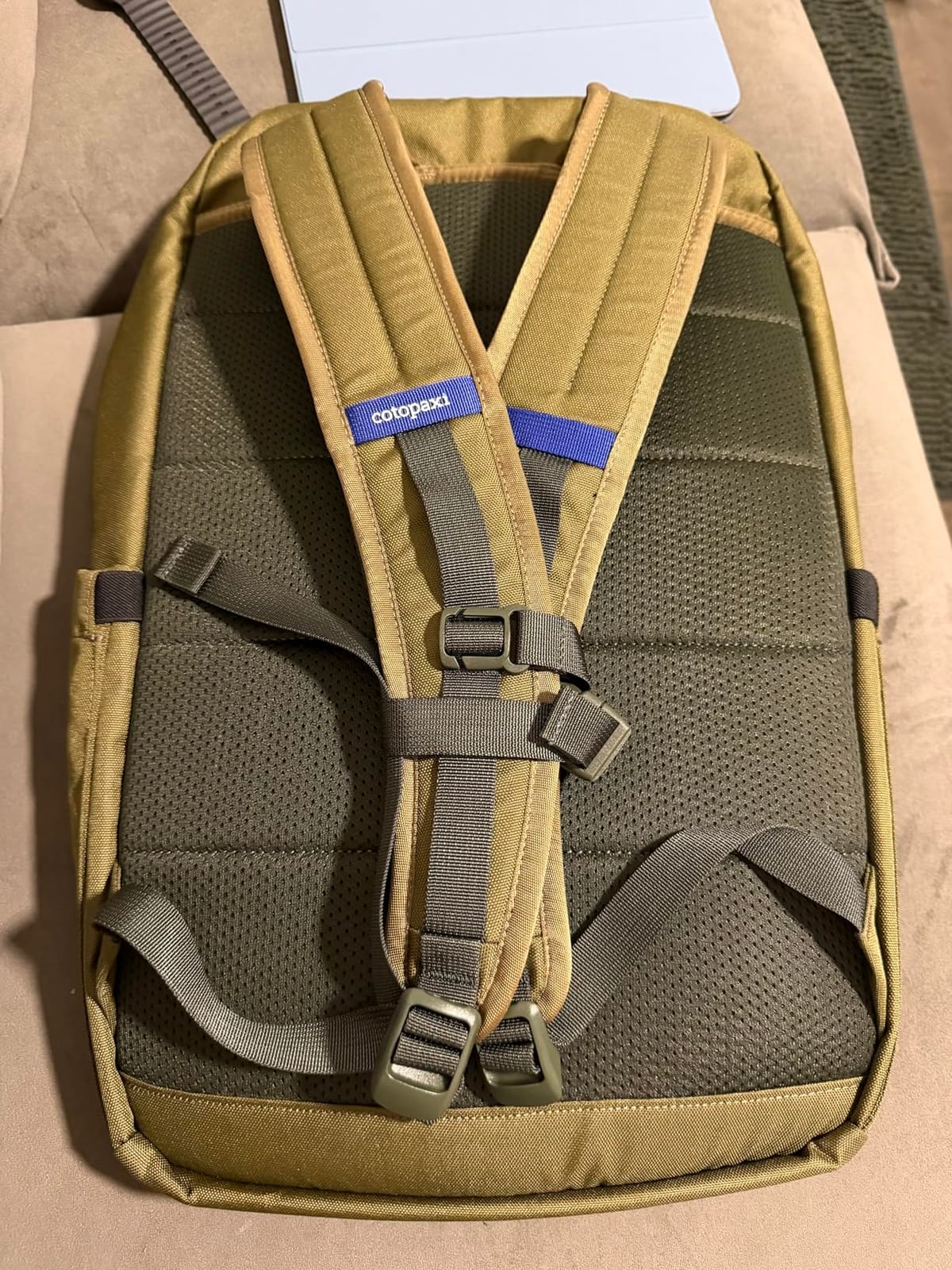 Cotopaxi Chiquillo 26L Daypack - Cada Día customer photo 1