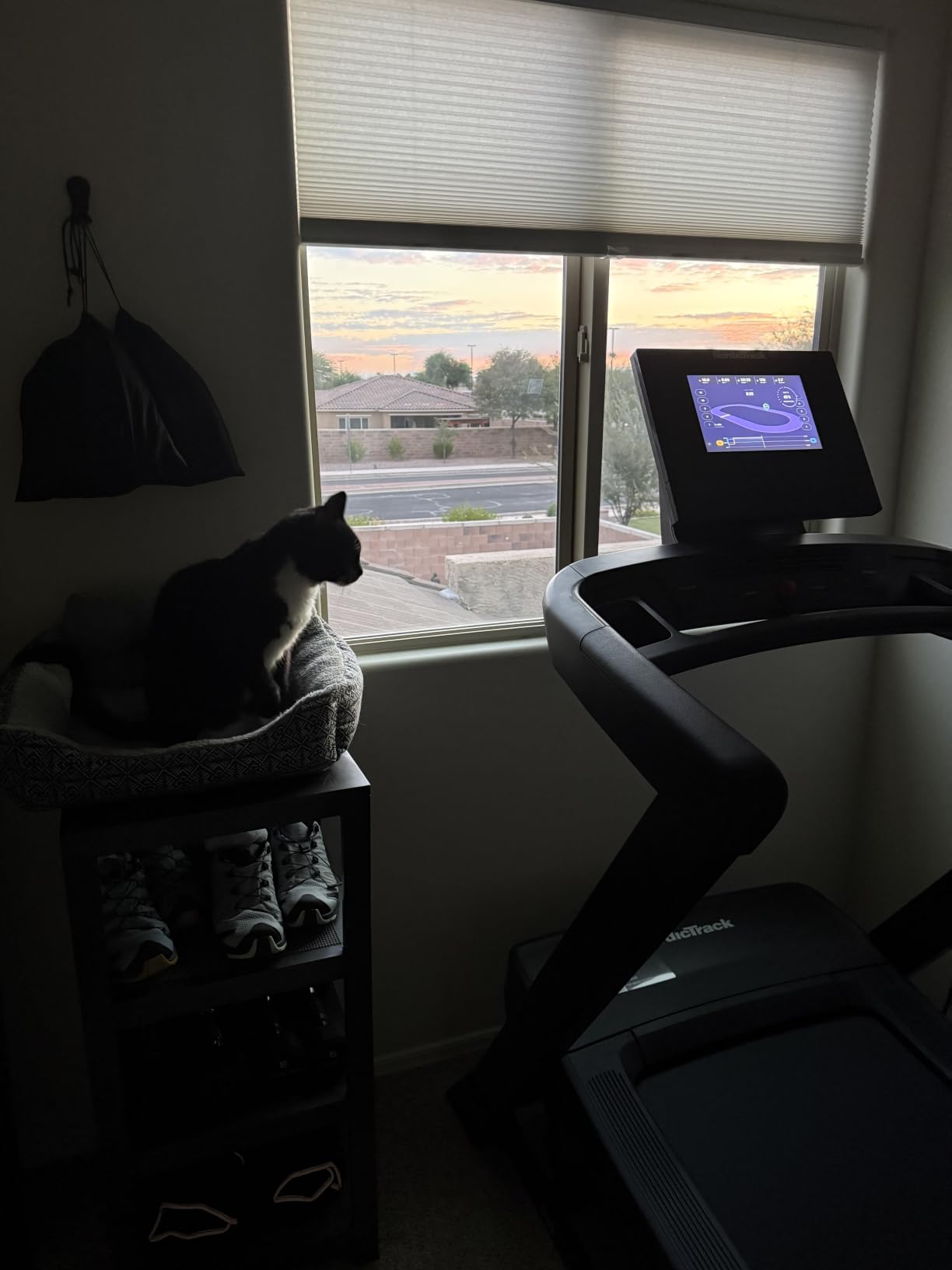 NordicTrack T Series Treadmills: T5, T6.5s, T7, T10, T16 customer photo 1