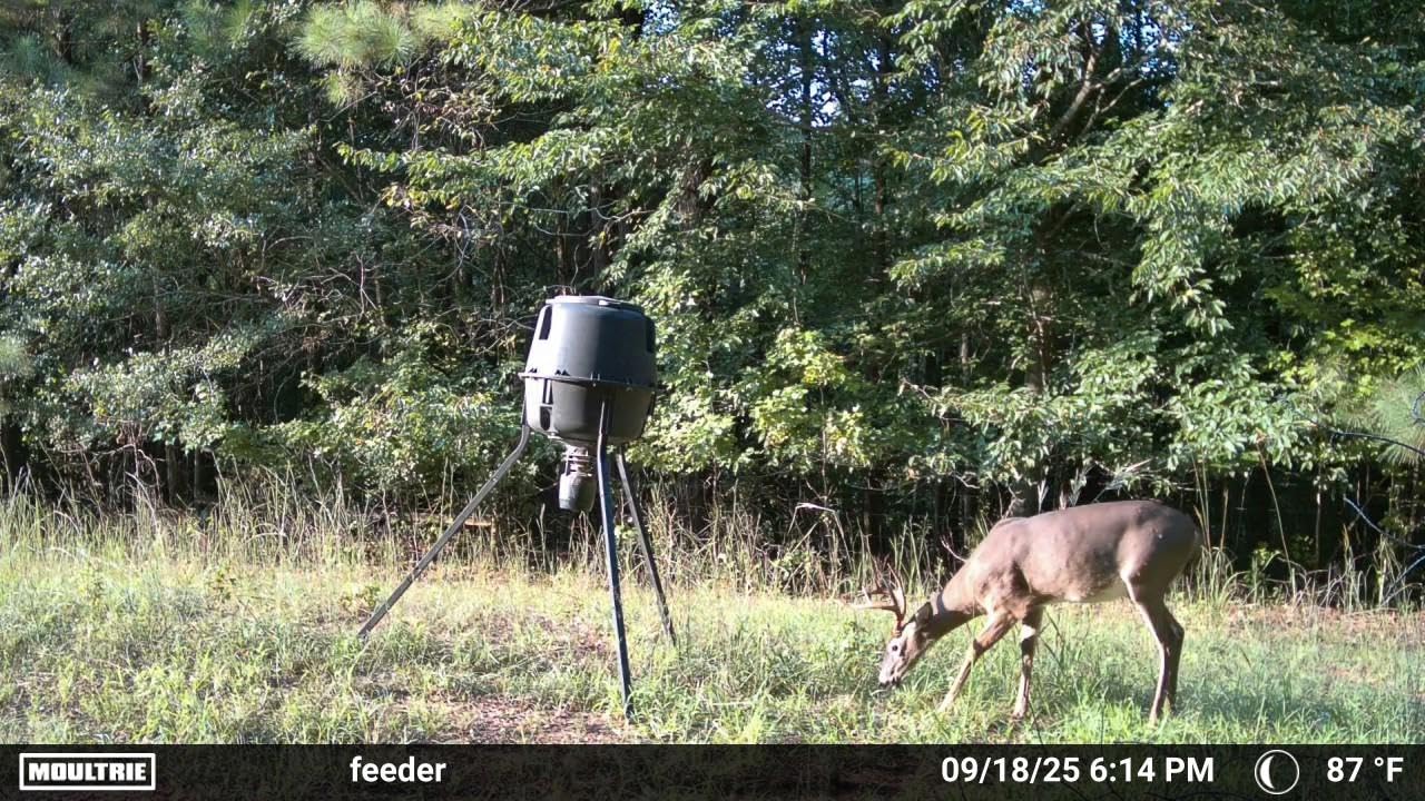 Moultrie Edge 2 Cellular Trail Camera customer photo 1