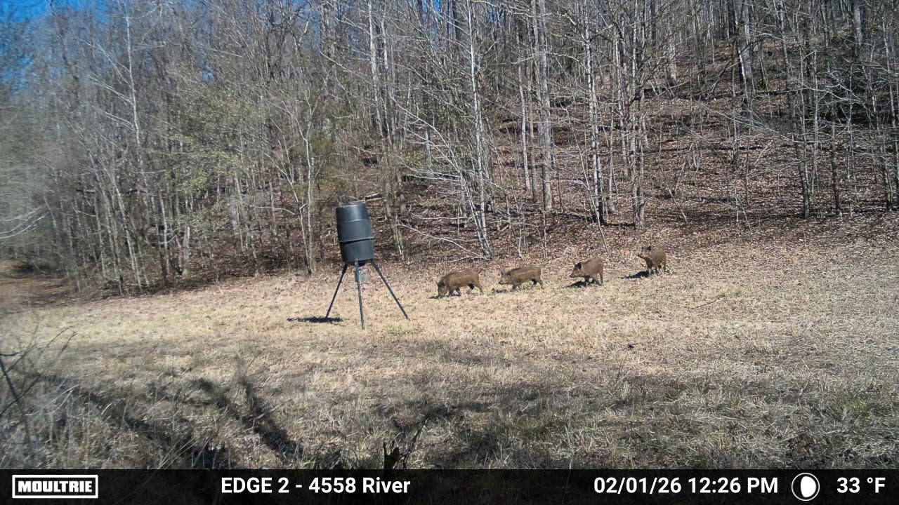 Moultrie Edge 2 Cellular Trail Camera customer photo 2