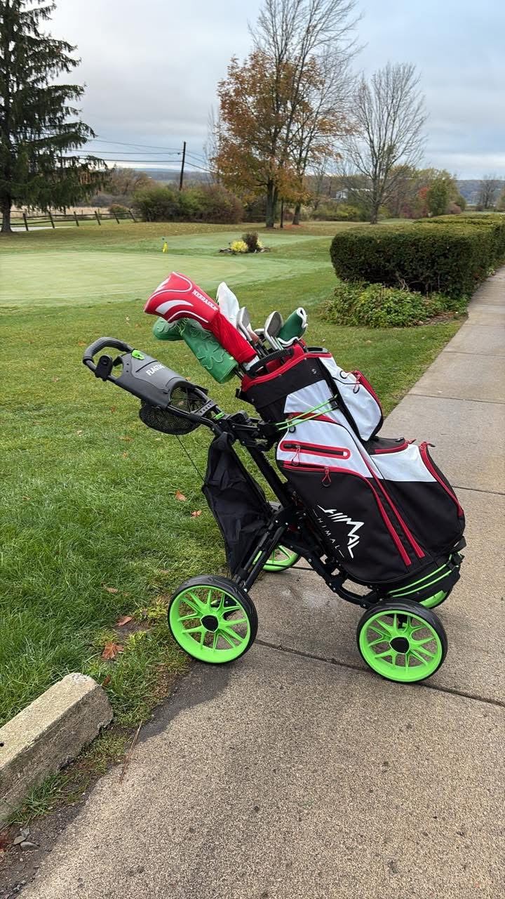 FLAGTAG Golf Push Cart 4-Wheels,Folding Golf Cart, Golf Pull cart with Cup Holder,Umbrella Holder,Cooler Bag, Foldable with one-Click,Handle Height Adjustable,Drink Holder,Walking Push cart customer photo 2