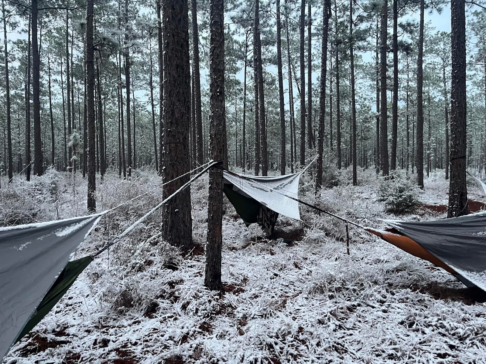 Camping Hammock with Mosquito Net, Underquilt & Rain Fly Tarp customer photo 2