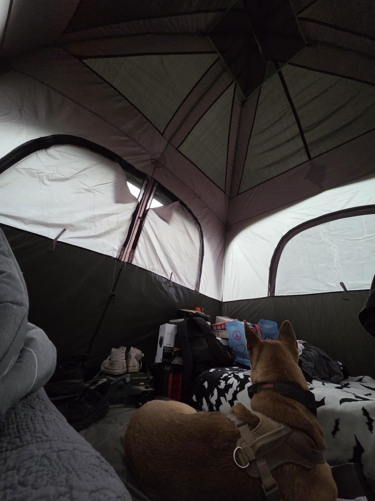 Happy Travel 6 Person Tents for Camping, Waterproof Cabin Tent with Rainfly customer photo 1