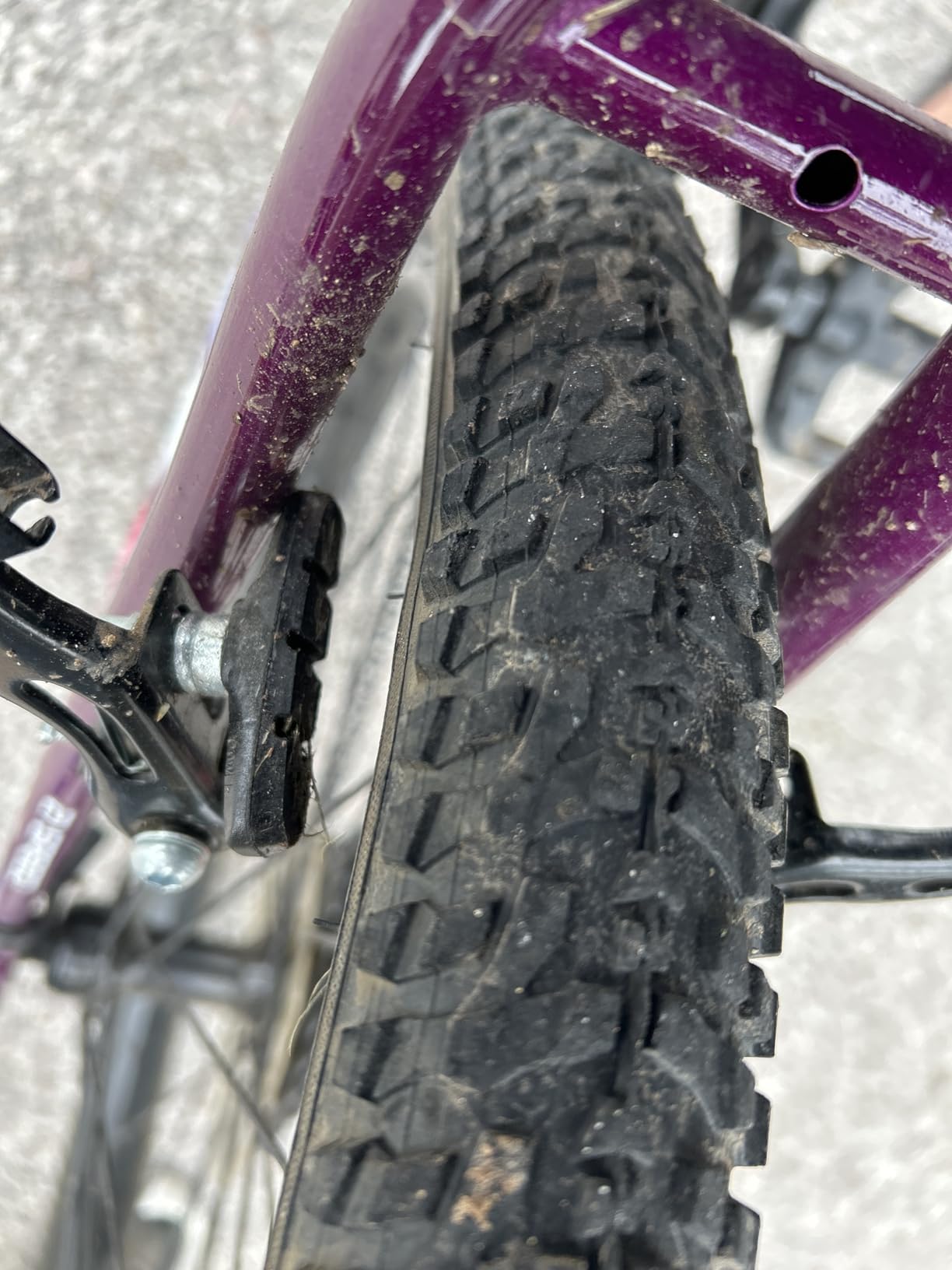 Pacific Mountain Sport Bike, 24 or 26 inch Mountain Bike for Youth and Adults, 18 Speed, Steel Frame, Knobby Tires, Front Suspension Fork, Twist Shifters, Linear Pull Brakes, Youth and Adult Bicycle customer photo 1