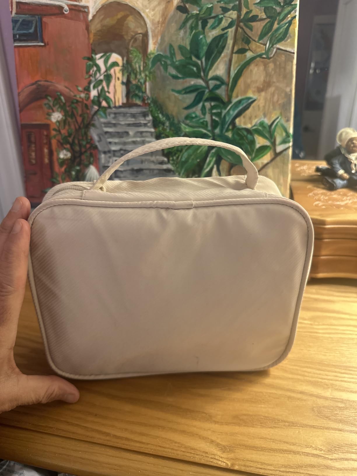 Travel Jewelry Organizer Case,Jewelry Bags for Traveling, Jewelry Binder with 24 Pcs Clear Zipper Velvet Pouches for Storing Earrings, Rings, Necklace, Bracelet, Watch (Beige) customer photo 2