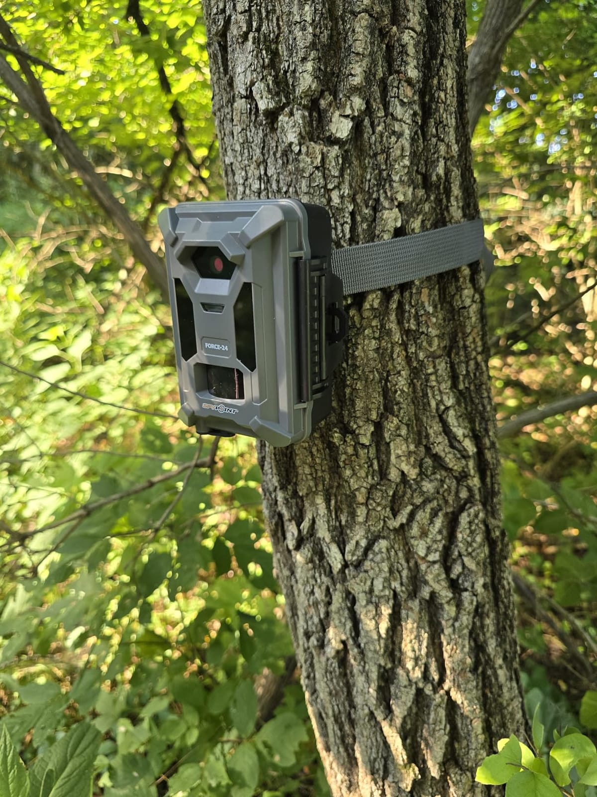 SPYPOINT FORCE-24 Non-Cellular Trail Camera, 2K Video, 24MP Photos, Low-Glow LEDs, Night Vision Game Camera, 70ft Motion Detection, Affordable Trail Cam, Must-Have Hunting Equipment customer photo 2