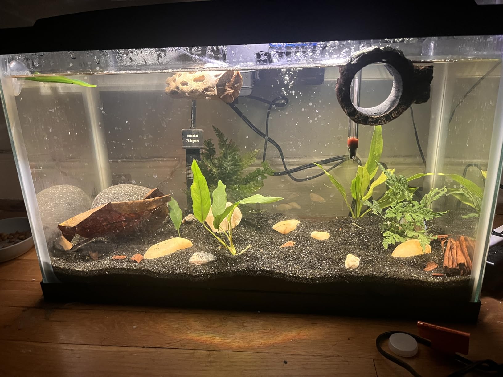 Aqueon Aquarium Starter Kit with Smart Clean Filtration and LED Lighting, Freshwater and Saltwater Fish, 20-Gallon customer photo 1