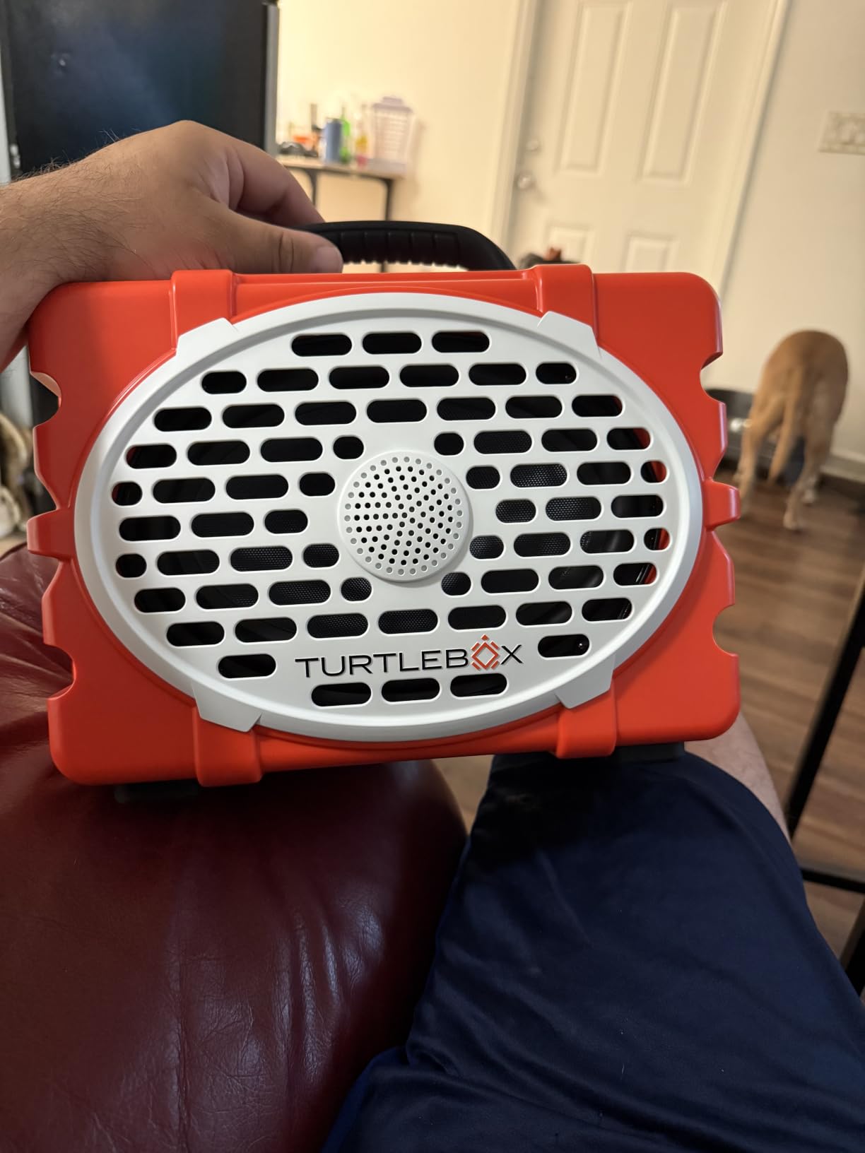Turtlebox Original Gen 3 Outdoor Bluetooth Speaker, Waterproof, Tan, Midsize Flagship, Rugged and Portable, Plays to 120dB, IP-67, 25hr+ Battery Life, Unlimited Pairing for Full Stereo customer photo 2