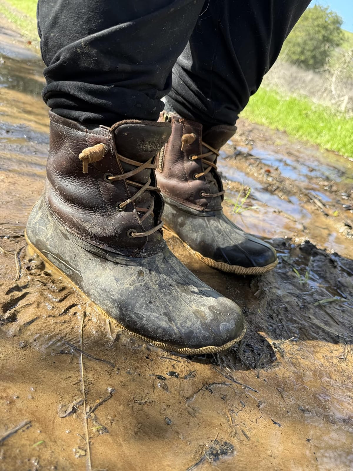 Sperry Women's Saltwater Duck Boot customer photo 1