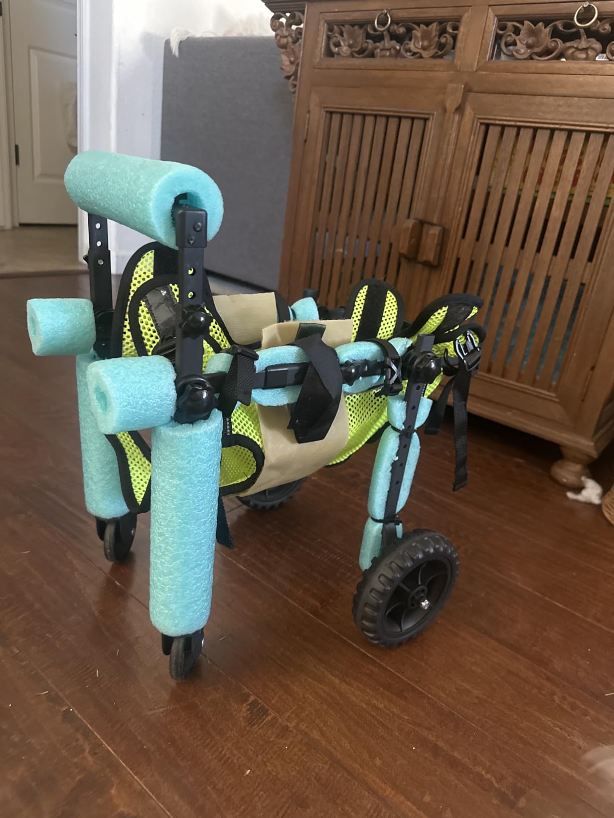 Adjustable Dog Wheelchair for Back Legs, for All Breed Dog - Includes High-Visibility Vest, Leash & Sling Lift, Lightweight Pet Wheelchair for Disabled Hind Legs (Medium) customer photo 1