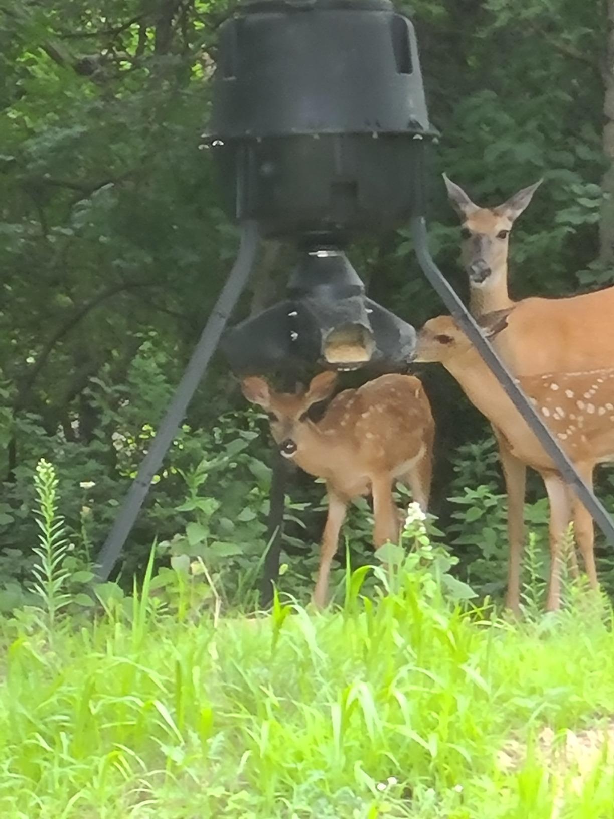 Moultrie Gravity Deer Feeder - Tripod Game Feeder - Easy Conversion Adapter - Protein Pellet Ready - Rugged No-Power Setup for Deer Management customer photo 2