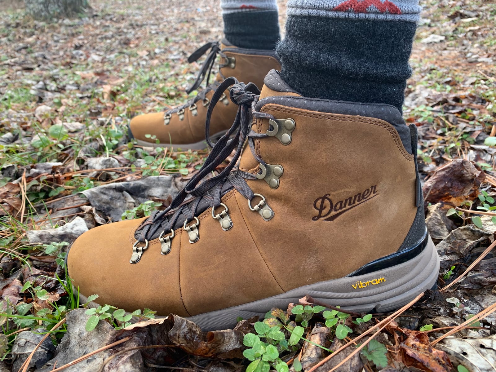Danner Men's Mountain 600 4.5