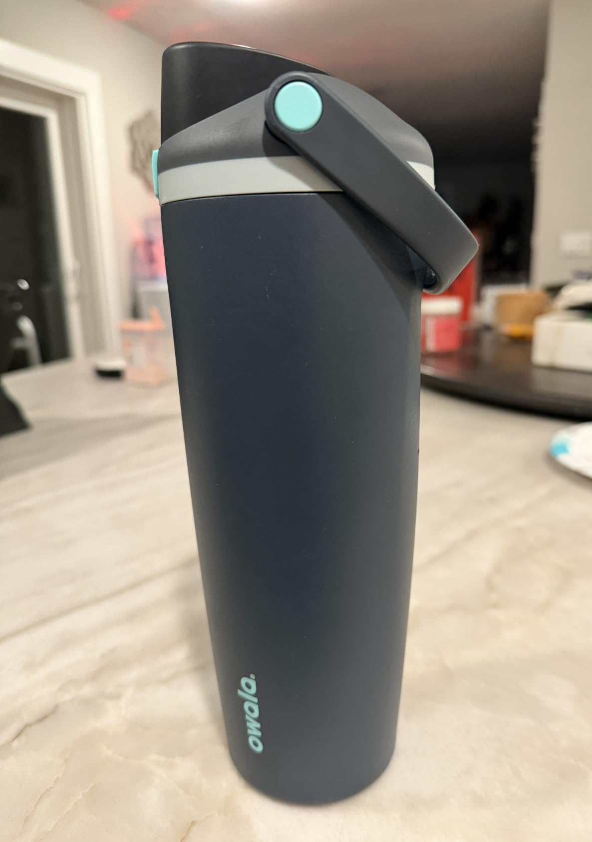 Owala FreeSip Sway Stainless Steel Water Bottle 30 oz Off Road customer photo 2