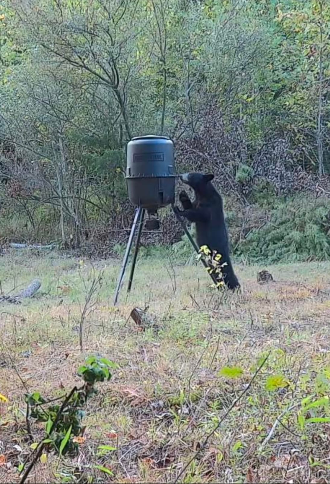 Moultrie 250 Lb Pro Hunter III Tripod Feeder - Bluetooth App Control | Bluetooth App Control, pairs with Edge 3, 10 daily feed times, large 250 lb capacity, solar ready, easy programming customer photo 1