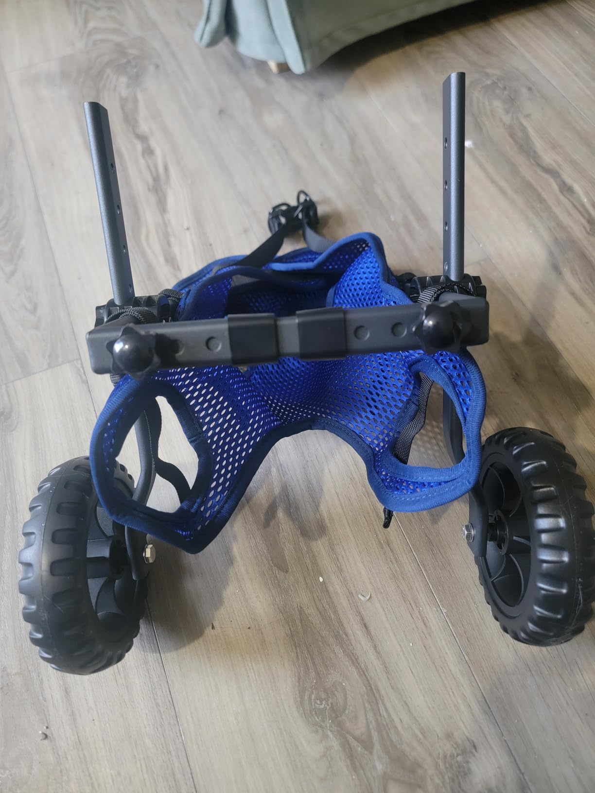 Dog Wheelchair for Back Legs, Dog Wheelchair Cart, Doggy/Cat Wheelchairs with Disabled Hind Legs Walking, Mobility Aids for Small Medium Pet Hind Limbs, Dogs Cart with Wheels, Light Weight customer photo 1
