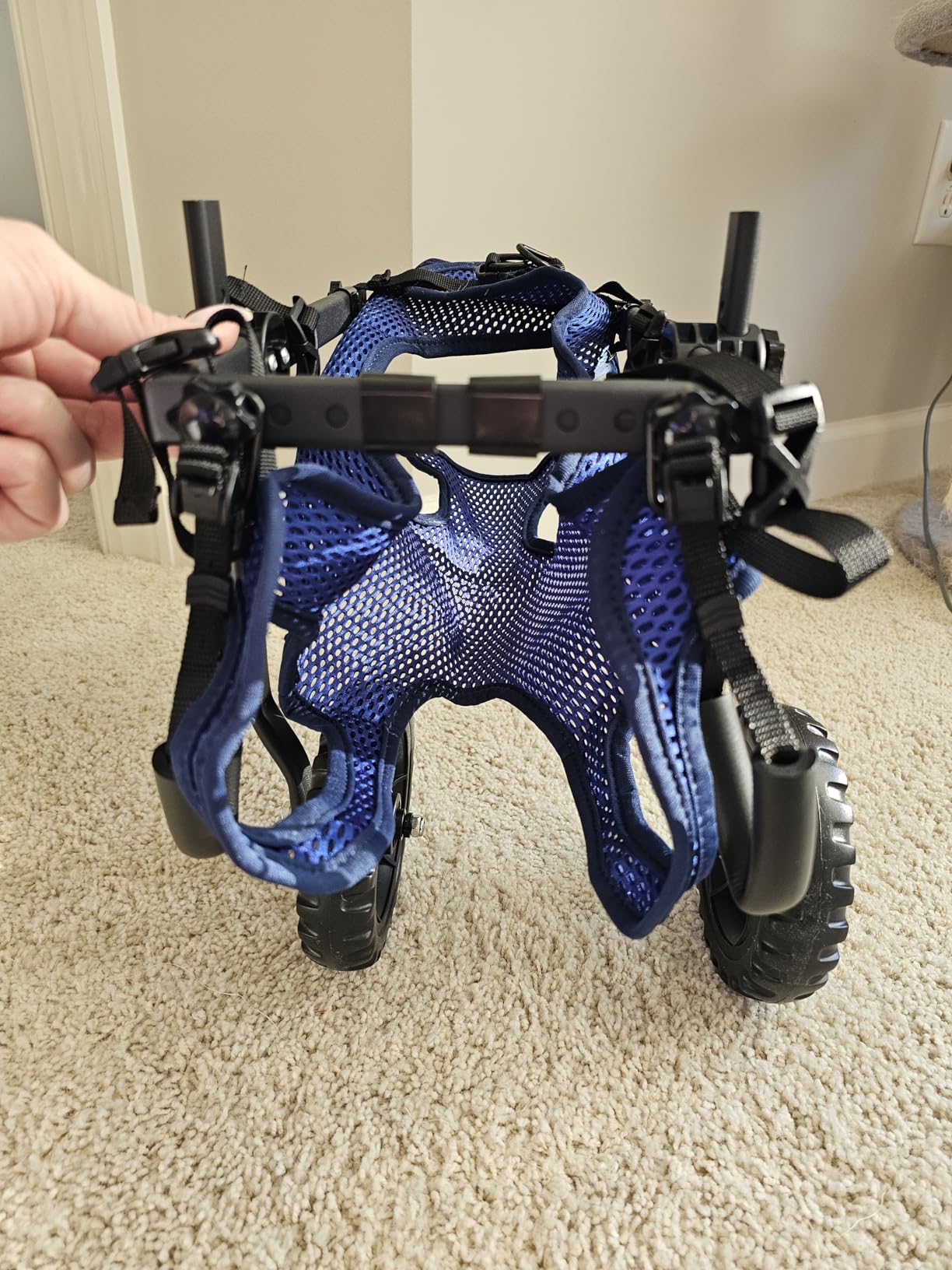 Dog Wheelchair for Back Legs, Dog Wheelchair Cart, Doggy/Cat Wheelchairs with Disabled Hind Legs Walking, Mobility Aids for Small Medium Pet Hind Limbs, Dogs Cart with Wheels, Light Weight customer photo 2