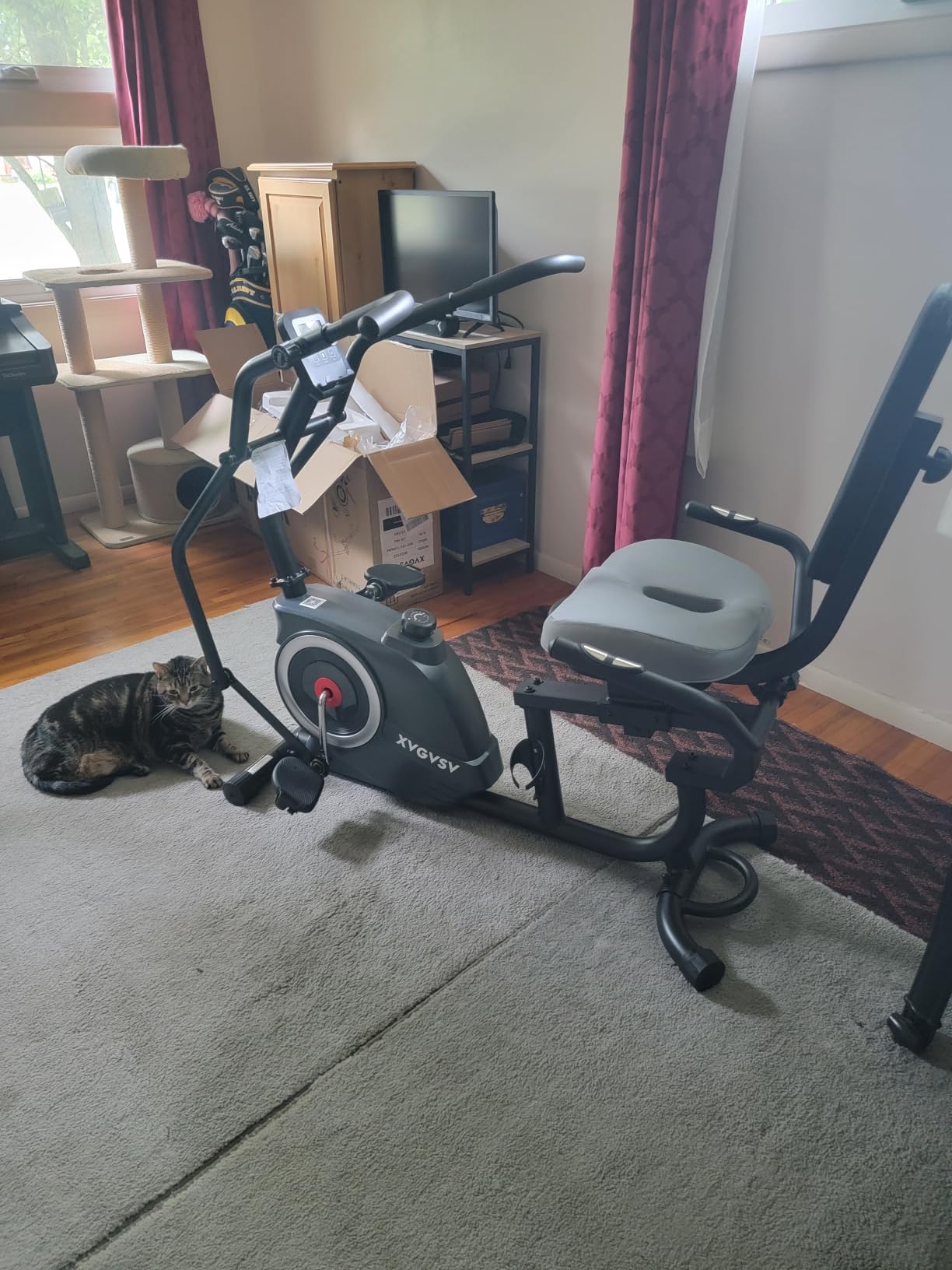 Recumbent Exercise Bike, Stationary Bike for Home with Arm Exercise customer photo 2