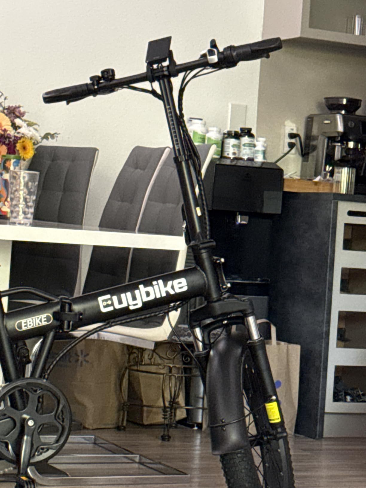 Foldable Electric Bike for Adults, 48V 20Ah Removable Lithium Battery up to 80Miles, 20