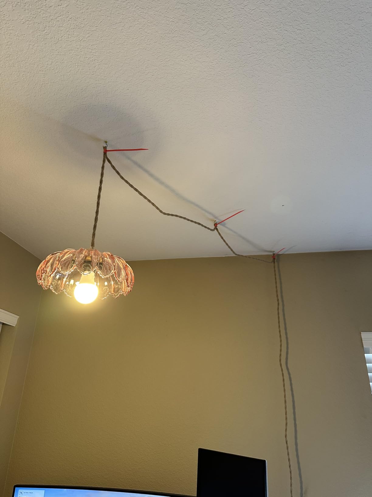 QIYIZM Pink Plug in Pendant Light Glass Hanging Lights with Plug in Cord Boho Hanging Lamp Gold Mid Century Modern Vintage Dimmable Flower Plug in Chandelier Ceiling Fixture for Living Room,Bedroom customer photo 2