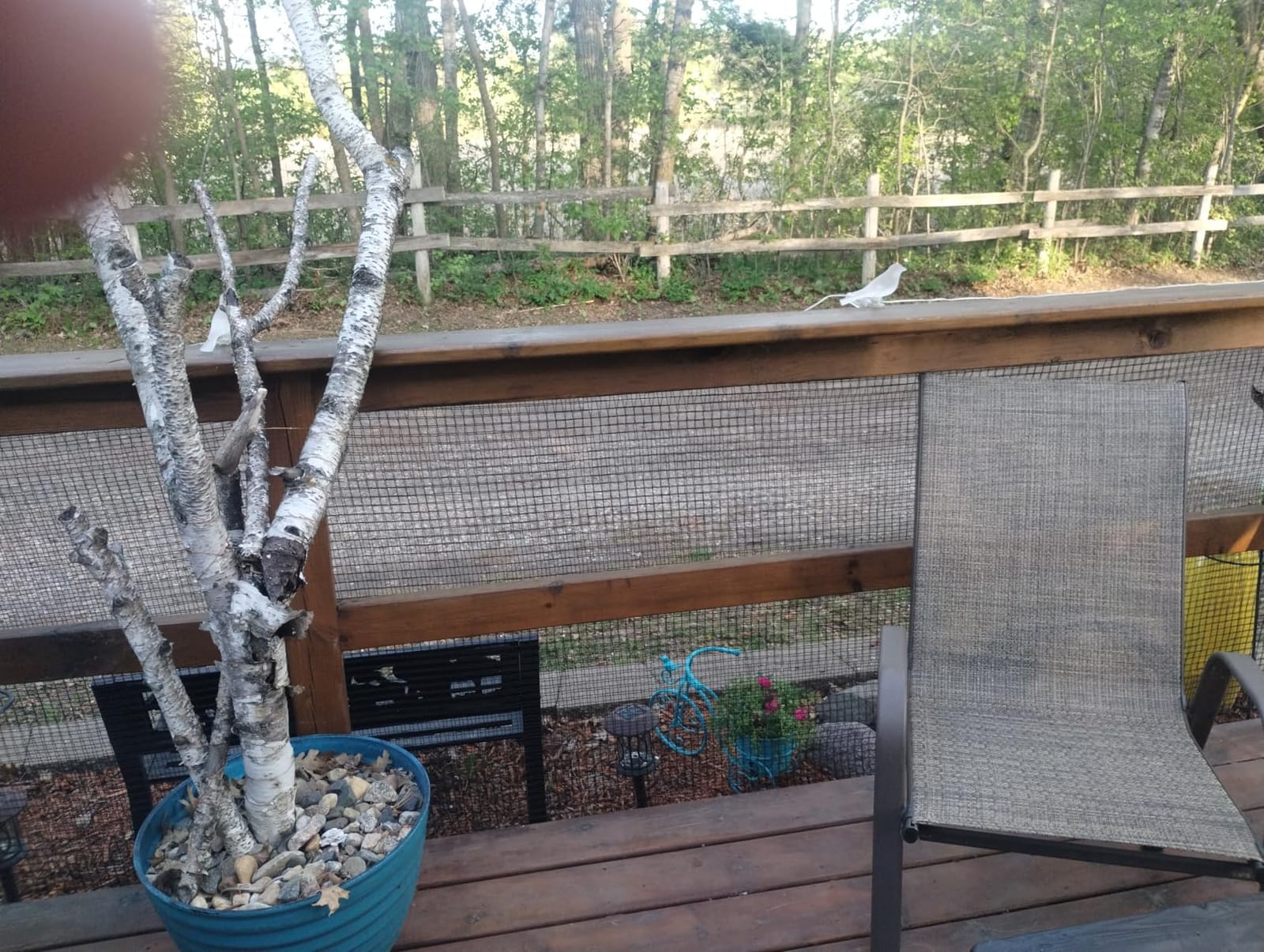 Deer Fence for Garden 4ftx50ft, Plastic Mesh Garden Fencing with Pre-Strung Reinforced Edge, Durable Temporary Fencing, Animal Barrier Fence, Ideal Safe Netting for Poultry, Fruit & Plant Protection customer photo 2