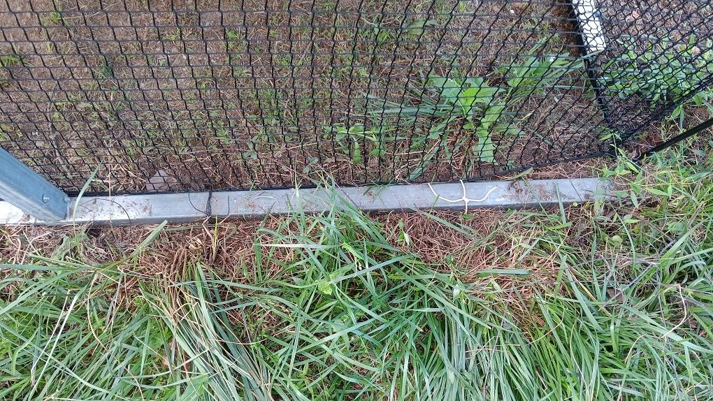 Baseball Batting Cage Net for Backyard Softball Portable Pop Up Cage customer photo 2