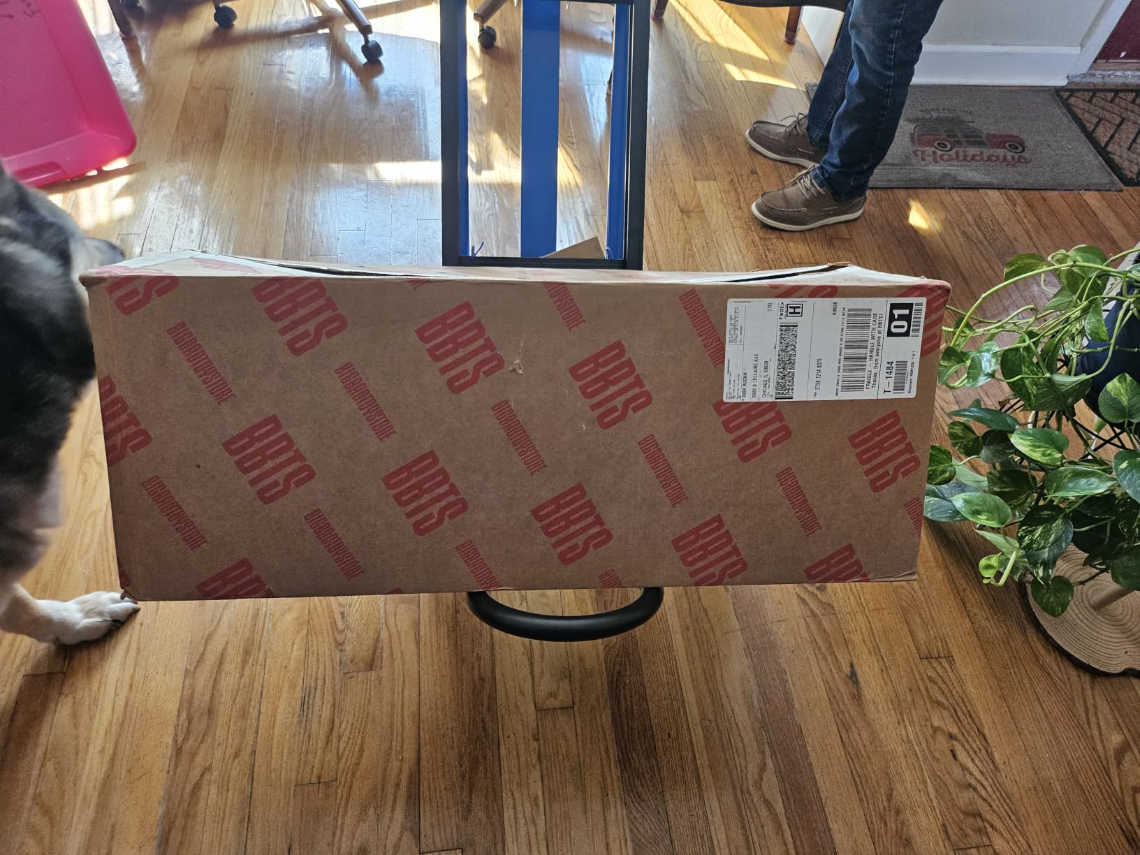 1000lbs Stair Climbing Dolly, 3-in-1 Convertible Aluminum Hand Truck, Blue customer photo 1