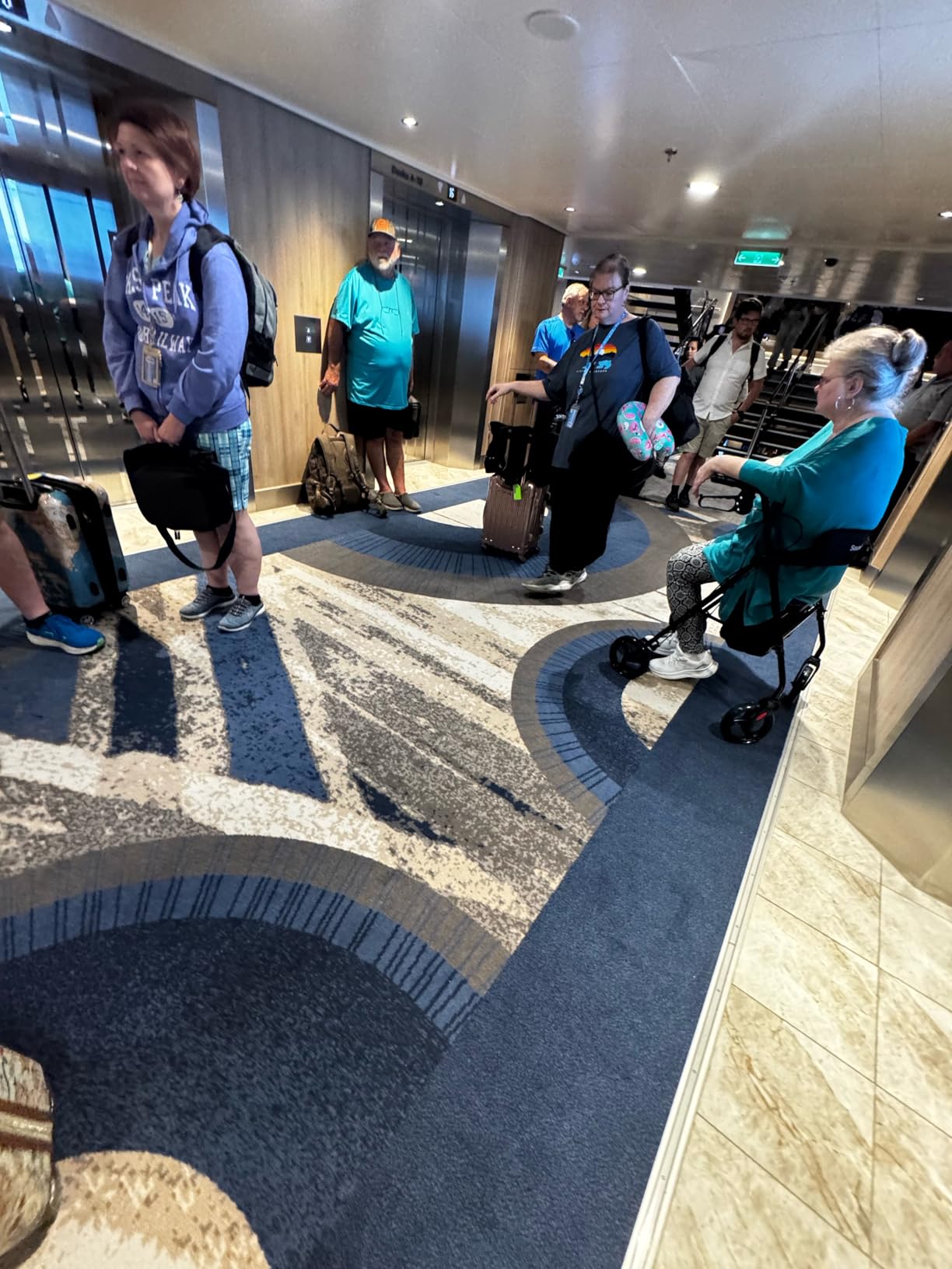 soundfuse Foldable Rollator Walkers for Seniors with 16