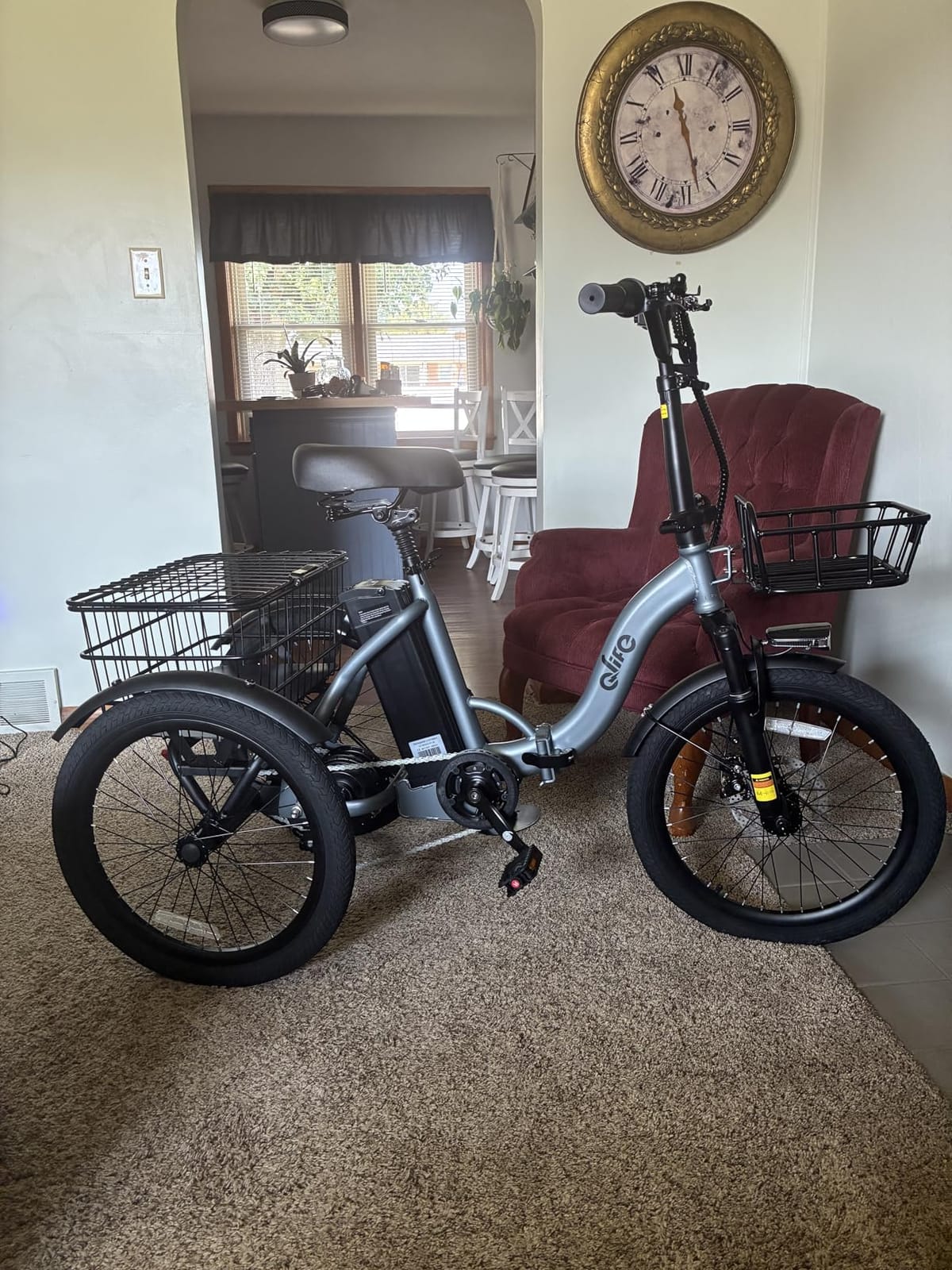 Qlife Electric Bike for Adults, 1200W Peak Brushless Motor Folding Electric Trike, 48V Removable Battery, 18