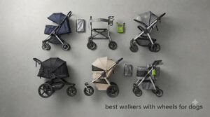 best walkers with wheels for dogs